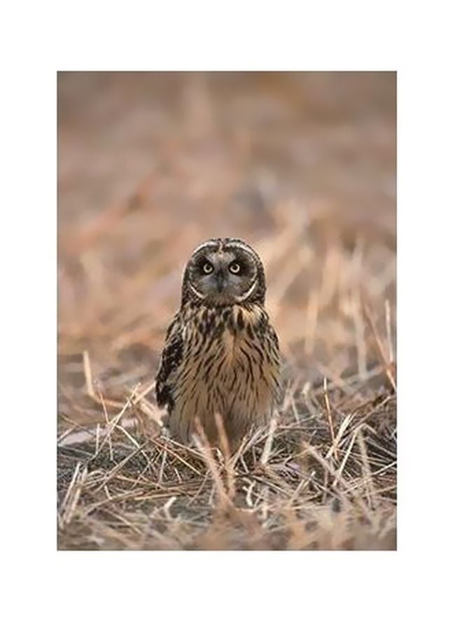 بوستر حائط للتزيين بيج / أسود 60x40سم