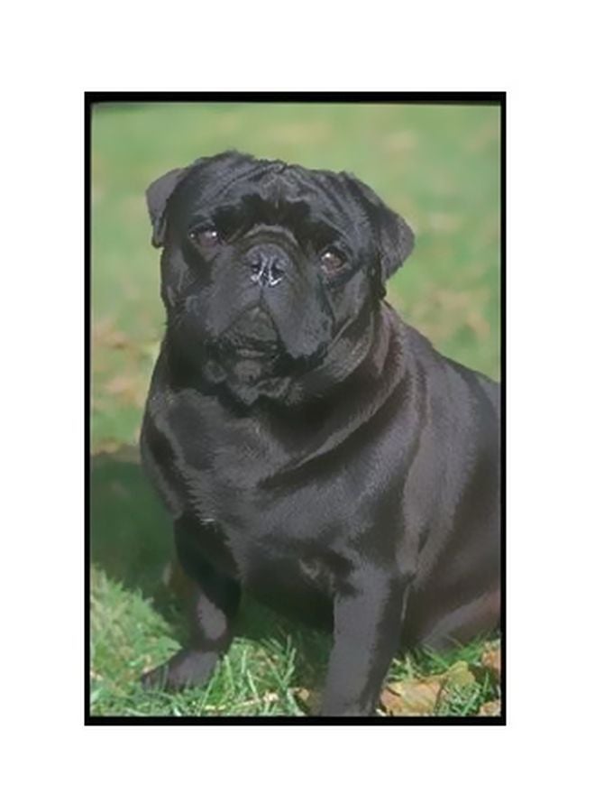 بوستر حائط للتزيين أسود/أخضر 60 X40سم