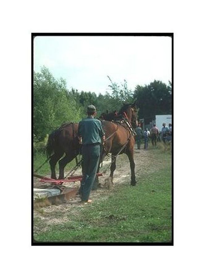 Decorative Wall Poster Green/White/Brown 60x40cm