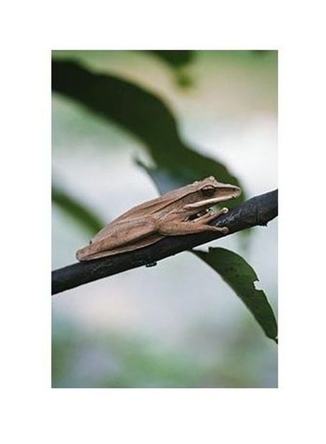 Decorative Wall Poster Brown/Green 45 X 31cm