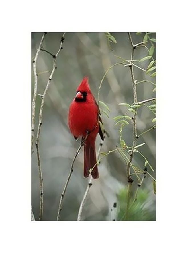 Decorative Wall Poster Red/Green 45x31cm