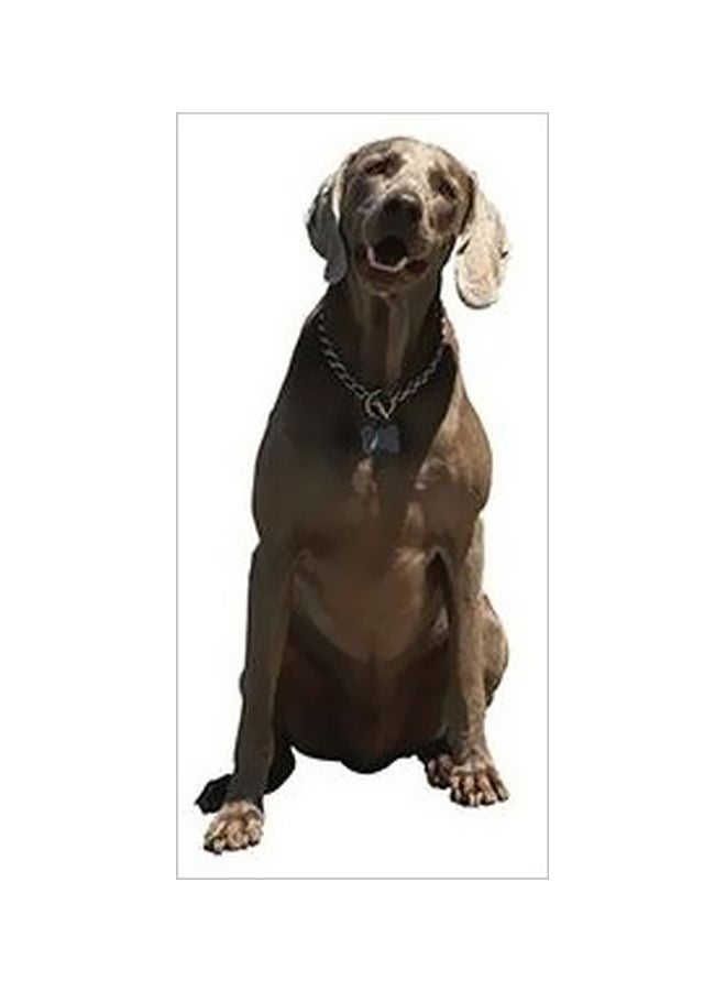 Decorative Wall Poster Brown/White 60x40cm