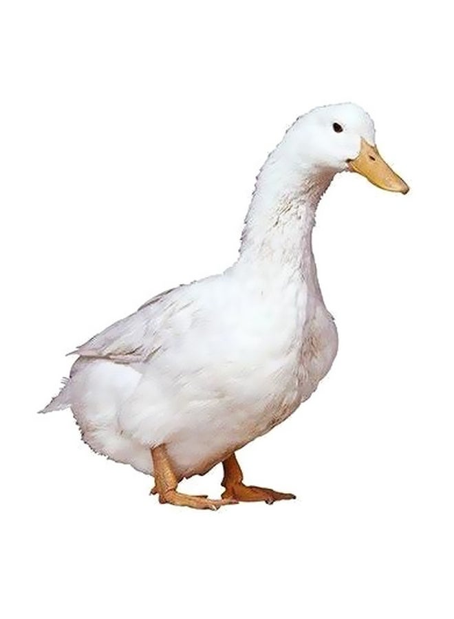 Decorative Wall Poster White/Beige 23x23cm