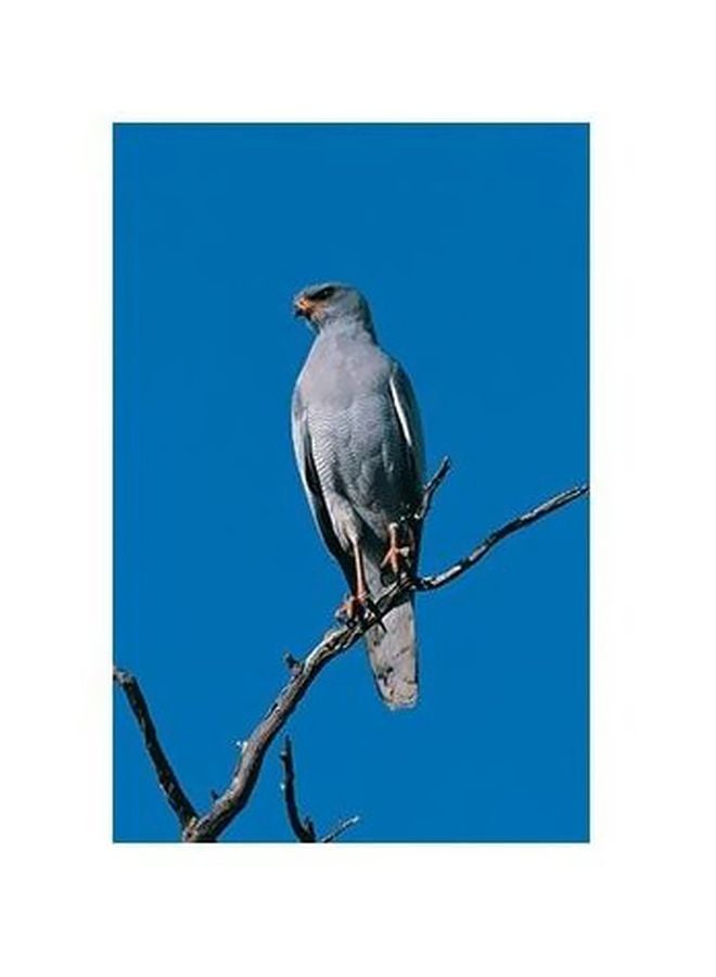 Decorative Wall Poster Grey/Blue/Black 60 X 40cm