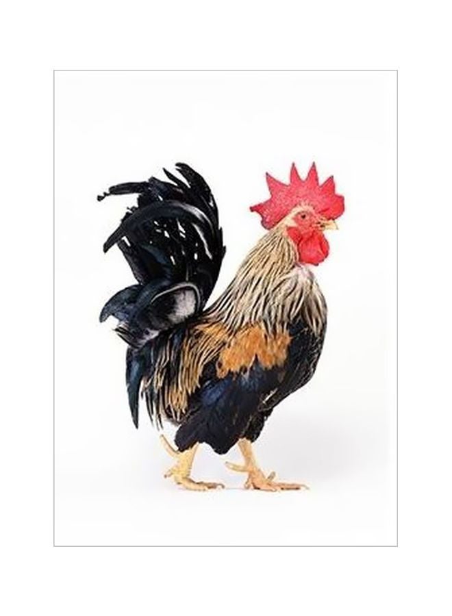 Decorative Wall Poster Brown/Black 45x31cm