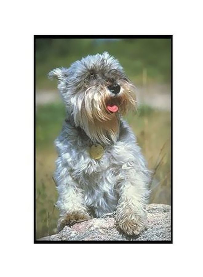 بوستر حائط للتزيين متعدد الألوان 45 X 31سم