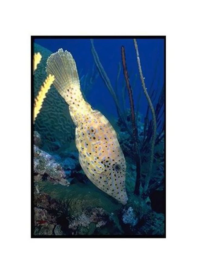 PHOTOBLOCK Decorative Wall Poster Multicolour 60 X40cm 