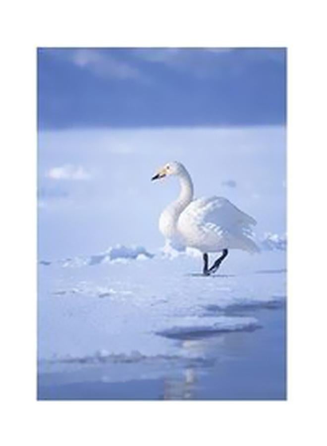 Decorative Wall Poster Multicolour 60x40cm