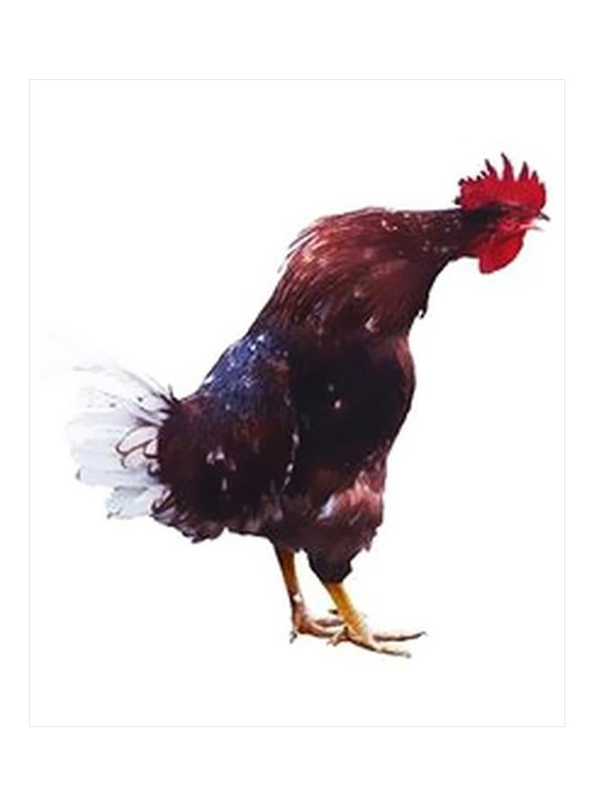 Decorative Wall Poster Brown/Red/White 60x40cm
