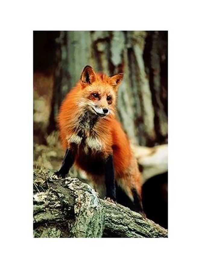 بوستر حائط للتزيين بني/برتقالي 45 X 31سم