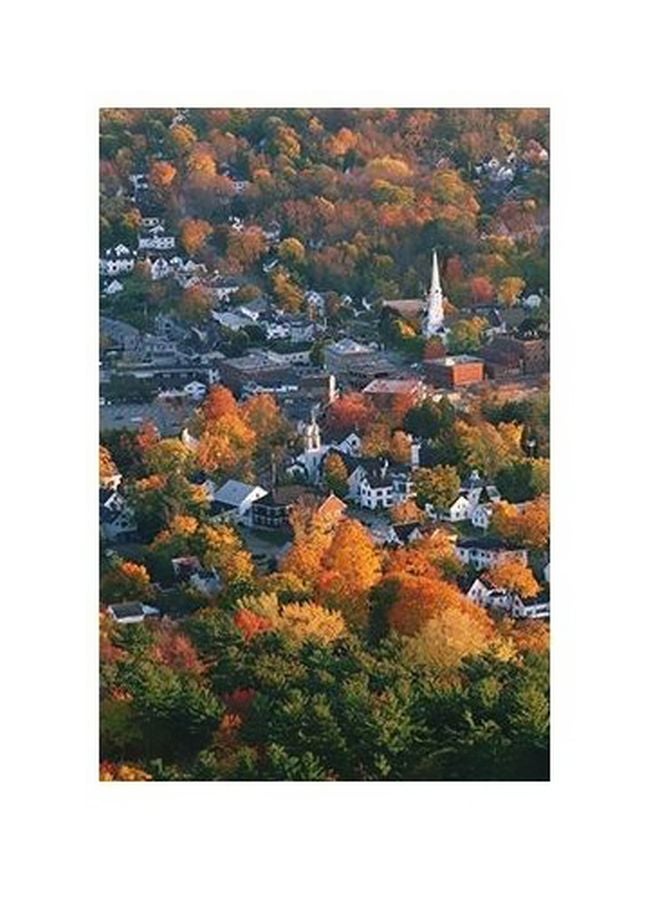 بوستر حائط للتزيين برتقالي/أخضر/رمادي 60x40سم