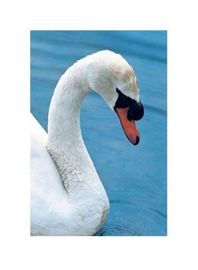 Decorative Wall Poster Multicolour 60x40cm