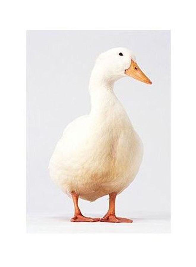 PHOTOBLOCK Decorative Wall Poster Multicolour 60x40cm