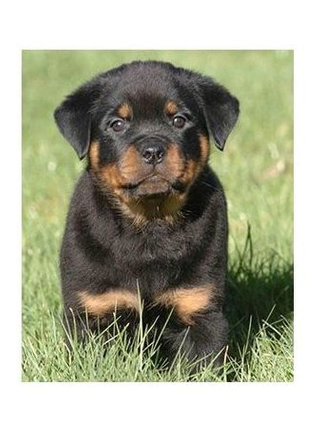 PHOTOBLOCK Decorative Wall Poster Multicolour 45 X 31cm