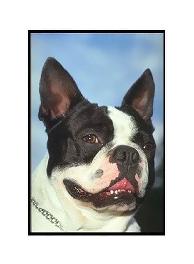 Decorative Wall Poster Multicolour 60x40cm