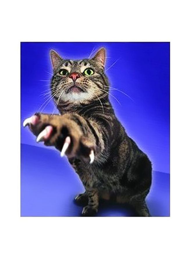 Decorative Wall Poster Multicolour 60x40cm