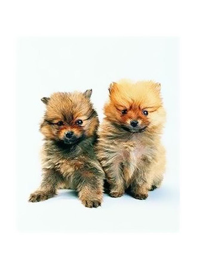 بوستر حائط للتزيين أسود / بيج 45x31سم