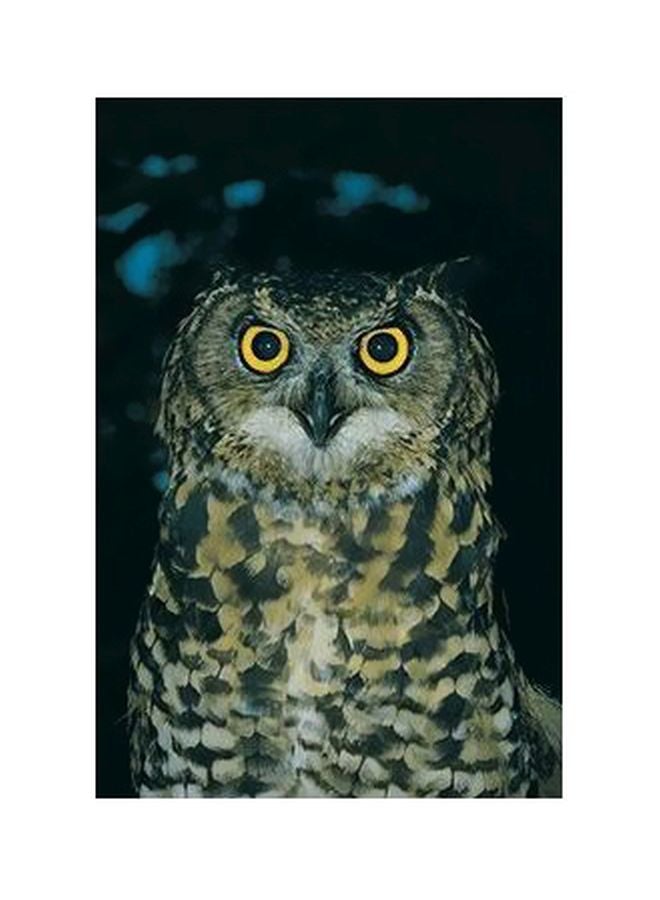 PHOTOBLOCK Decorative Wall Poster Multicolour 60x40cm