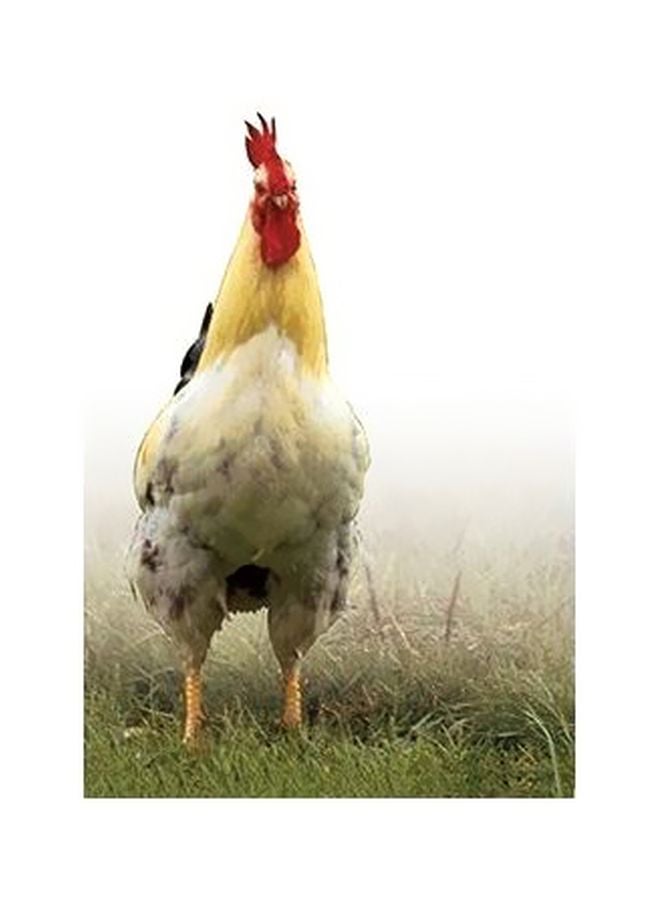 Decorative Wall Poster Multicolour 45x31cm