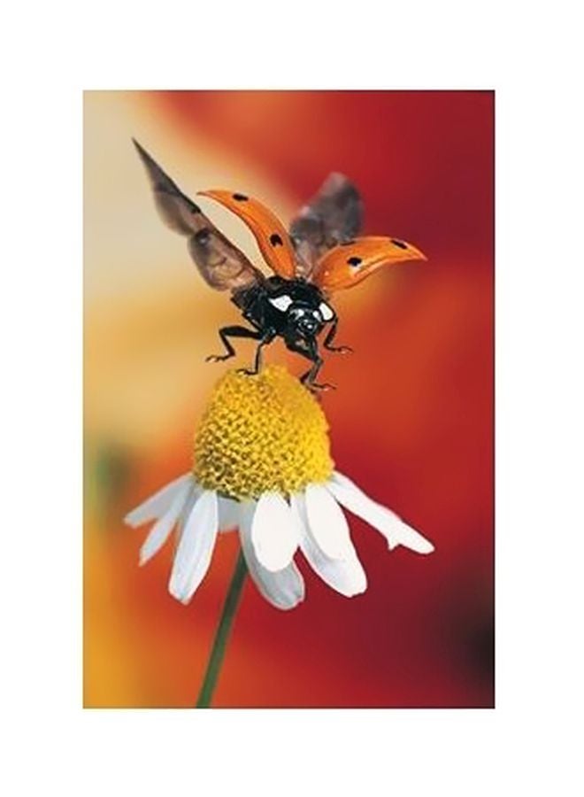 Decorative Wall Poster Orange/Yellow/White 45x31cm