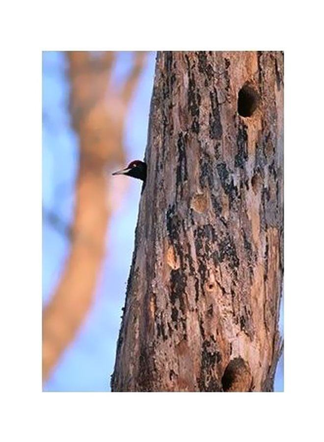 Decorative Wall Poster Blue/Beige 45x31cm