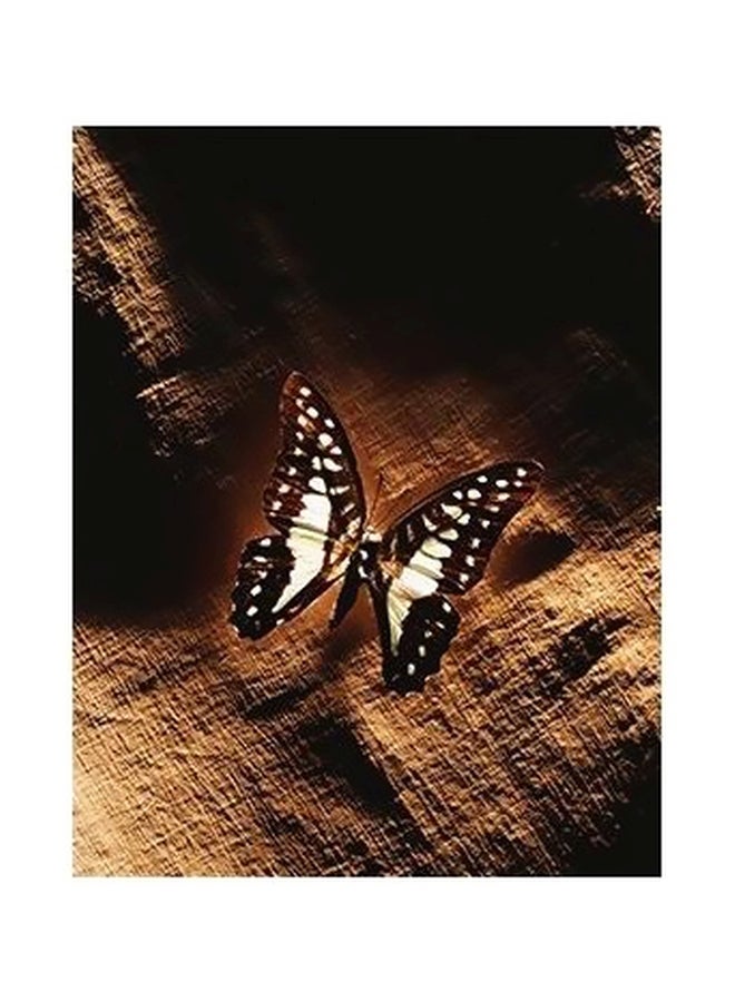 بوستر حائط للتزيين بني / أسود / أبيض 60x40سم