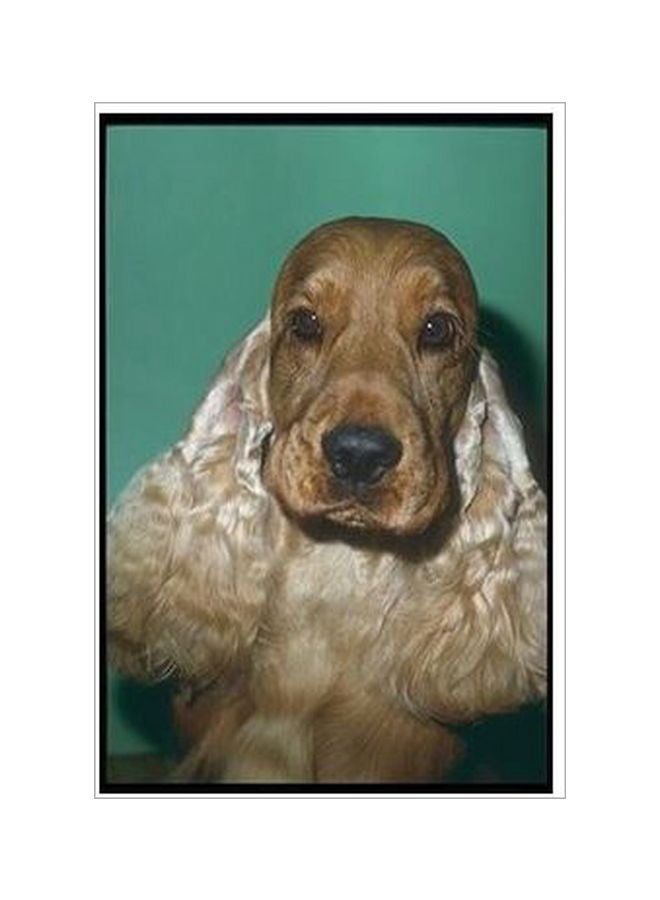 Decorative Wall Poster Brown/White/Green 45x31centigram