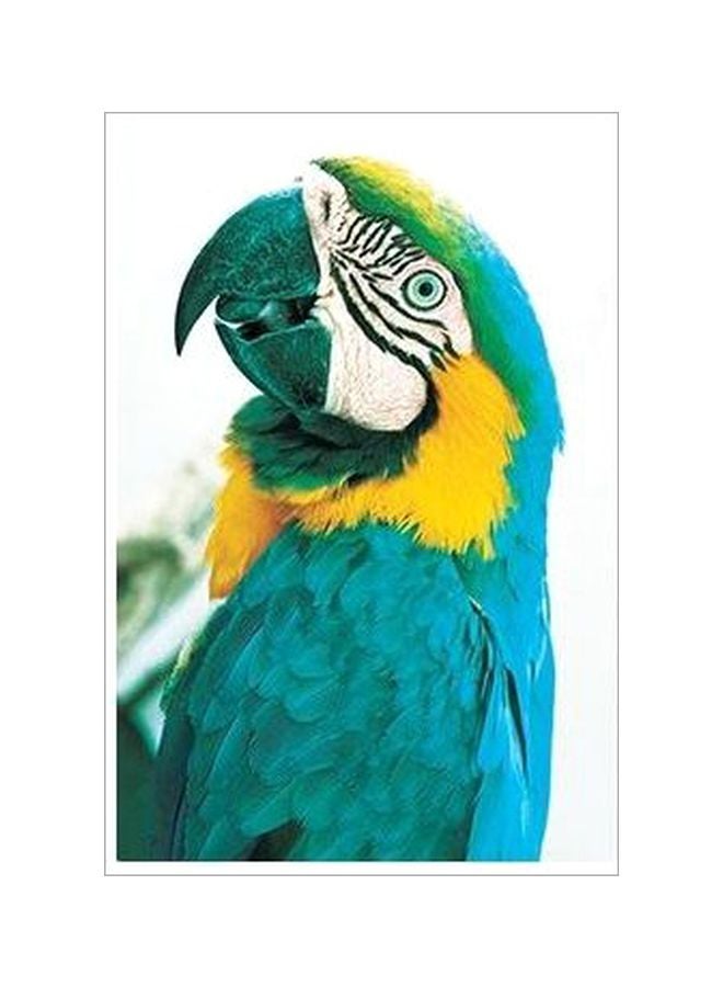 Decorative Wall Poster Blue/Yellow/Green 60 X40cm