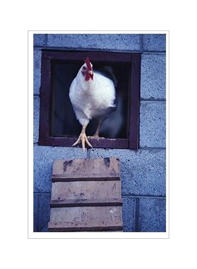 بوستر حائط للتزيين متعدد الألوان 60x40سم