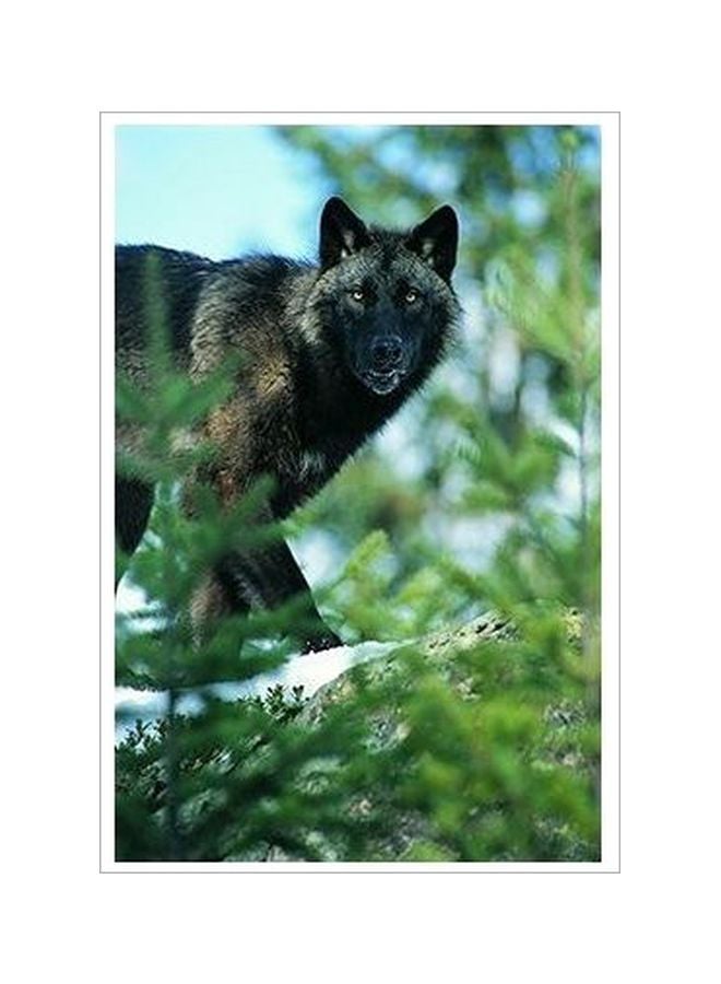 Decorative Wall Poster Black/Brown/Green 45 X 31cm