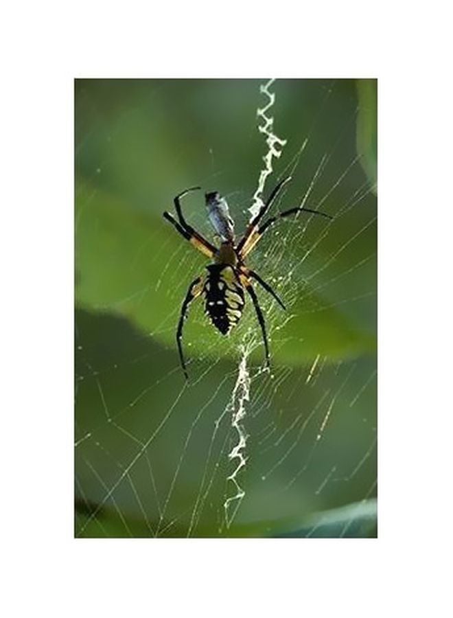 Decorative Wall Poster Green/Black/White 45x31cm