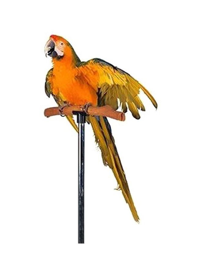PHOTOBLOCK Decorative Wall Poster Orange/Yellow 60 X 40cm 