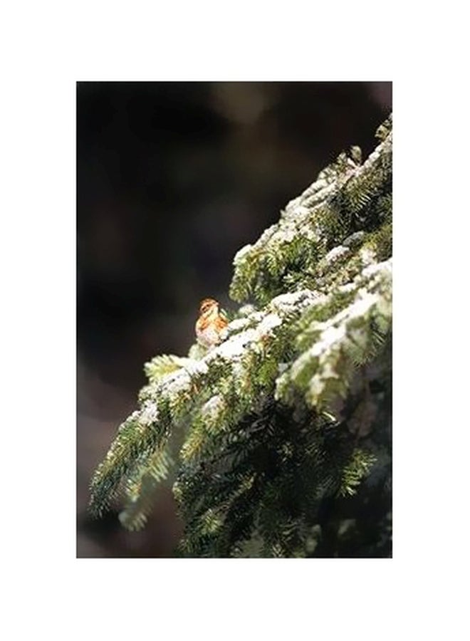 PHOTOBLOCK Decorative Wall Art Green/Black 34x18cm