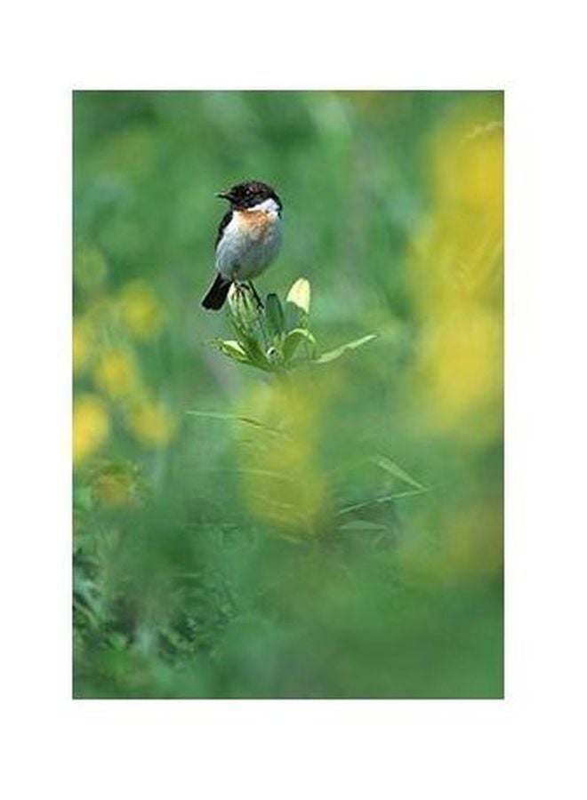 بوستر حائط للتزيين أخضر/ أصفر/ أبيض 34x24سم