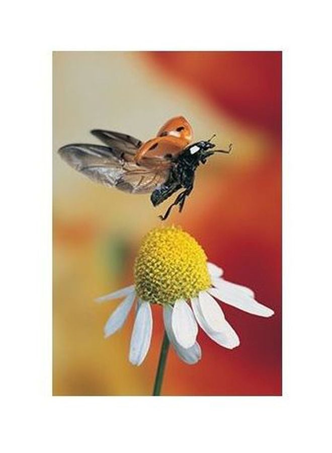 Decorative Wall Poster Red/Yellow/White 34x24cm