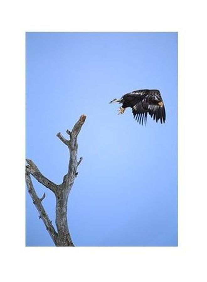 Decorative Wall Poster Blue/Black/Grey 34x24cm