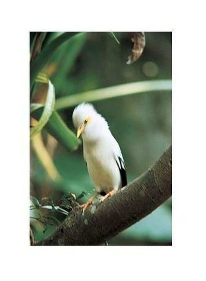 Decorative Wall Poster Green/White/Grey 34x24cm