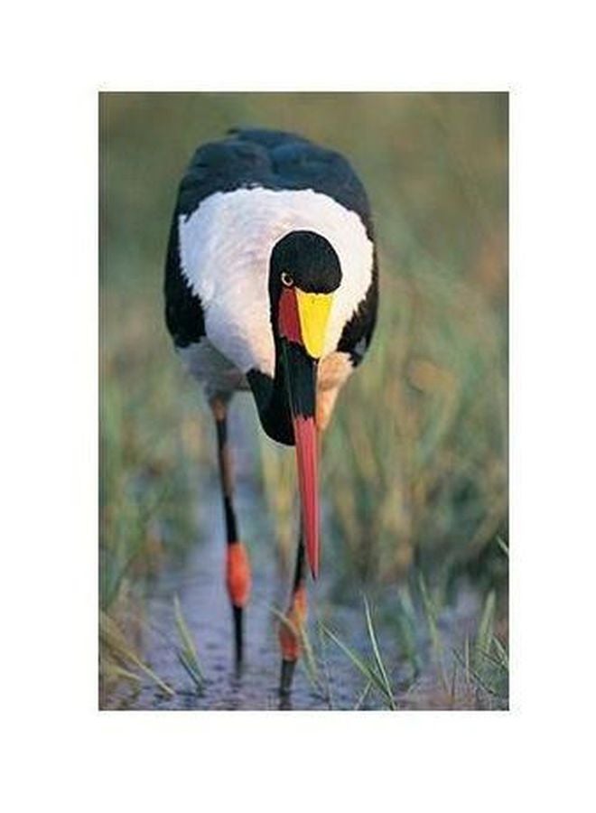 بوستر حائط للتزيين أخضر/أسود/أبيض 34x24سم