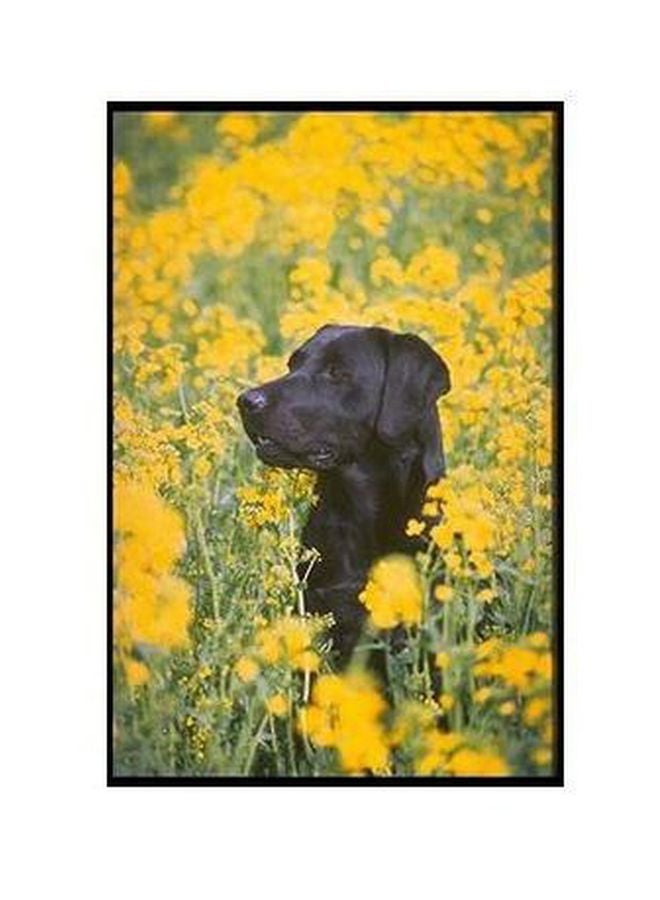 Decorative Wall Poster Yellow/Green/Black 34x24cm