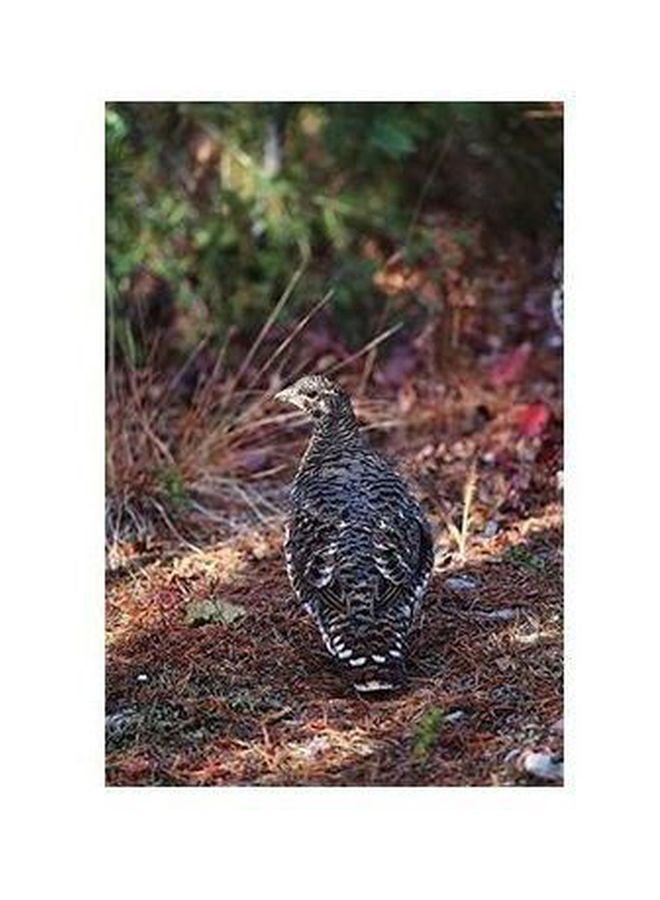 بوستر حائط للتزيين أسود/أخضر/بني 34 X 24سم