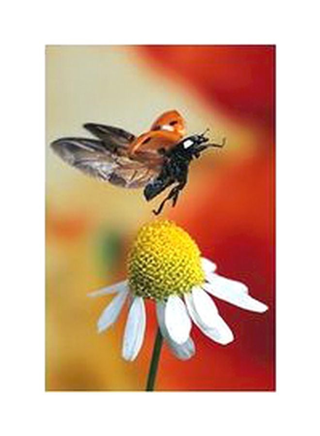 بوستر حائط للتزيين أحمر/أصفر/أسود 60x40سم