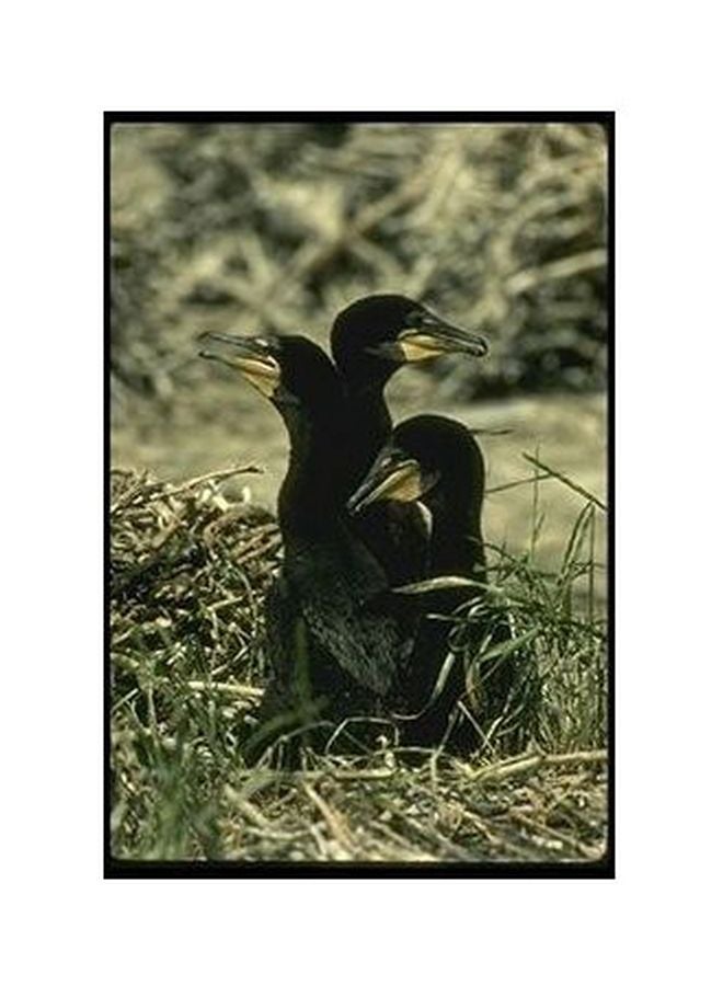 بوستر حائط للتزيين أخضر/أسود 60x40سم