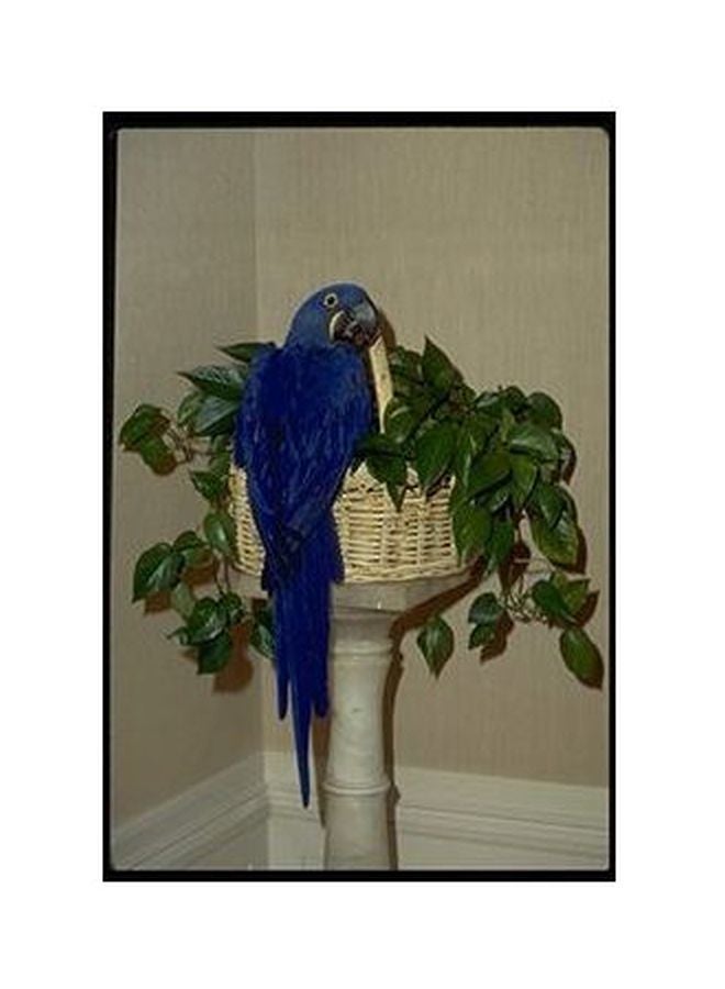 Decorative Wall Posters Blue/Green/Beige 45x31cm