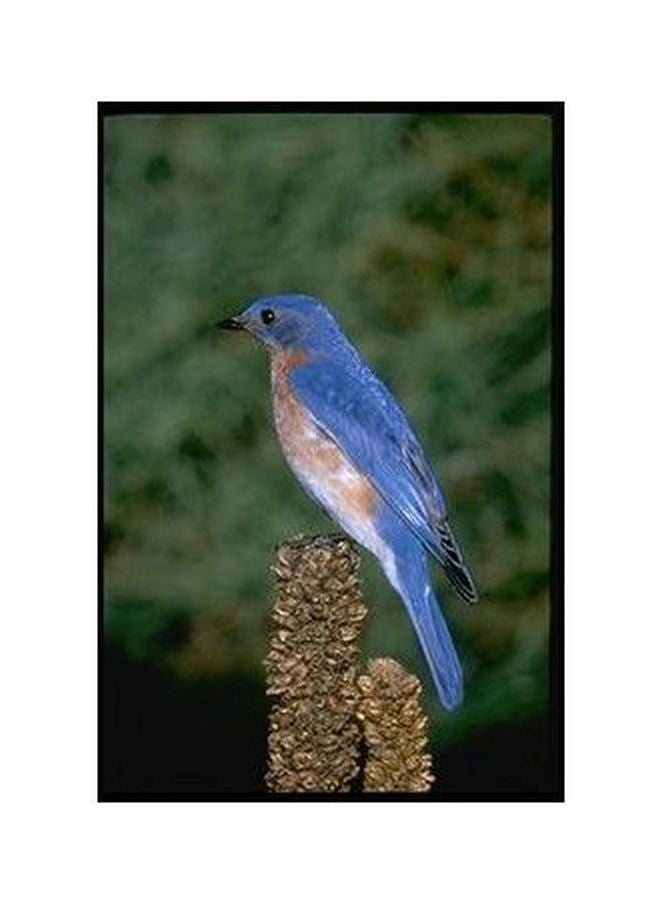 Decorative Wall Posters Blue/Green/Brown 60x40cm