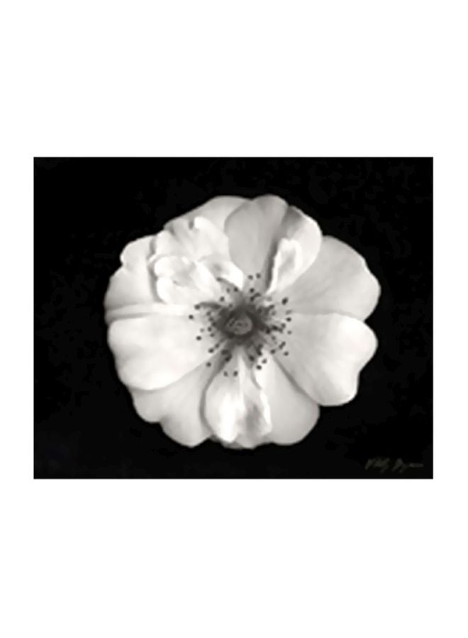 PHOTOBLOCK Decorative Wall Painting With Frame Black/White 60x40cm