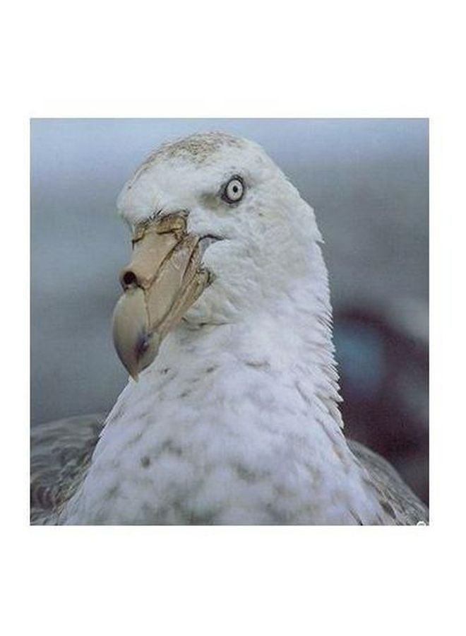 بوستر حائط للتزيين أبيض/بيج/رمادي 23x23سم