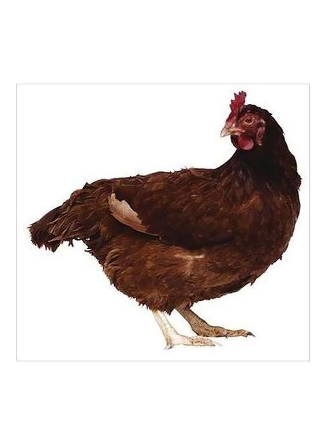 بوستر حائط للتزيين أبيض/بني/بيج 32x32سم