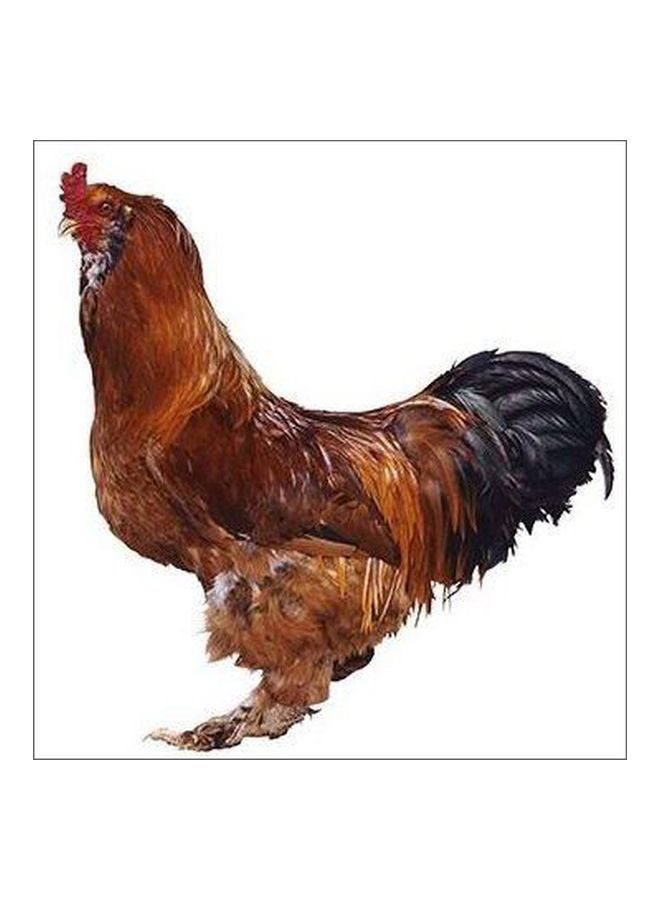 بوستر حائط للتزيين بني/أسود 15x15سم