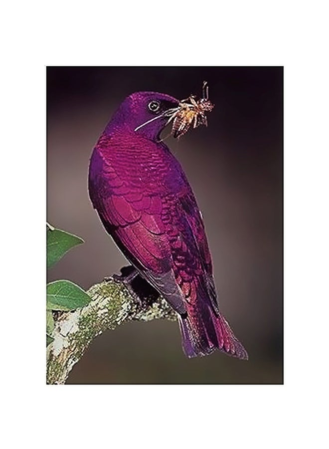 Decorative Wall Poster Black/White 60x40cm