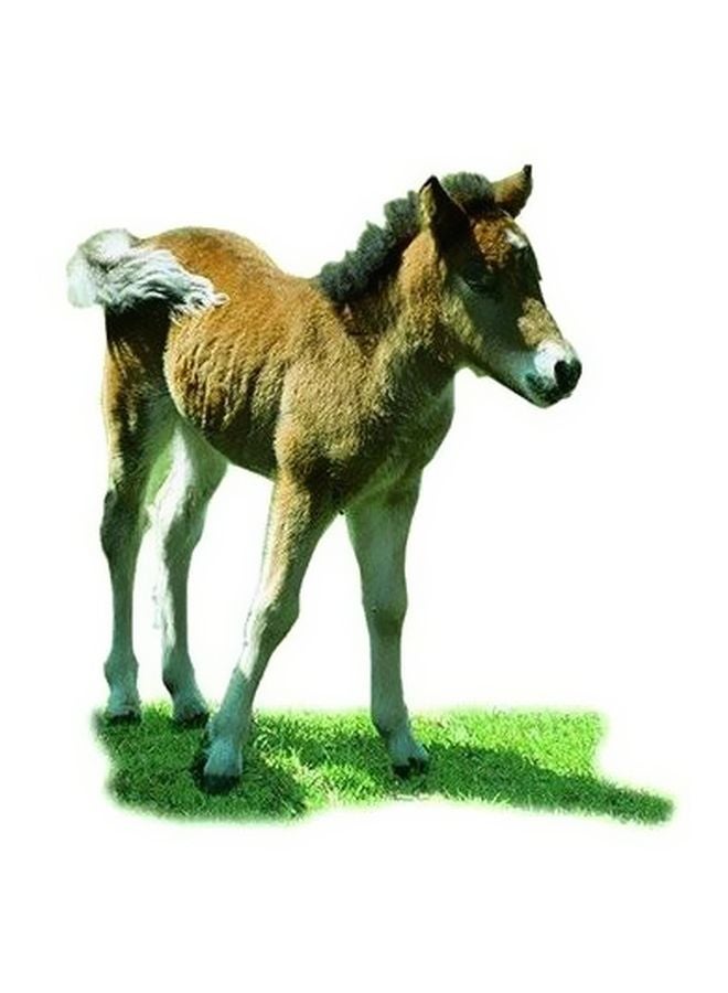 بوستر حائط للتزيين متعدد الألوان 32x32سم